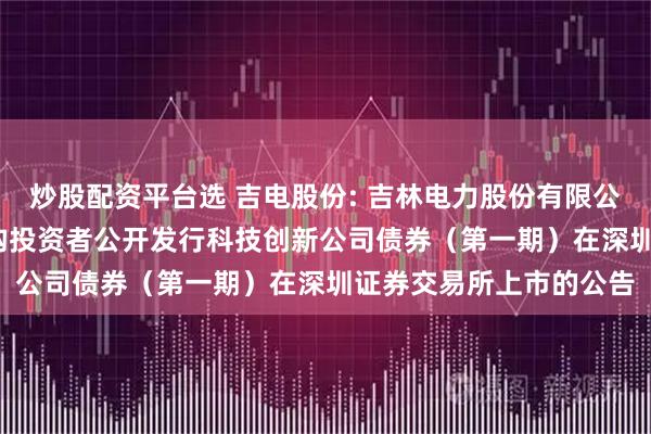 炒股配资平台选 吉电股份: 吉林电力股份有限公司2025年面向专业机构投资者公开发行科技创新公司债券（第一期）在深圳证券交易所上市的公告